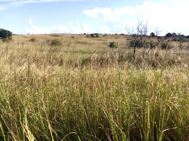 0 Bedroom Property for Sale in Louis Trichardt Limpopo
