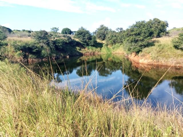 0 Bedroom Property for Sale in Louis Trichardt Limpopo