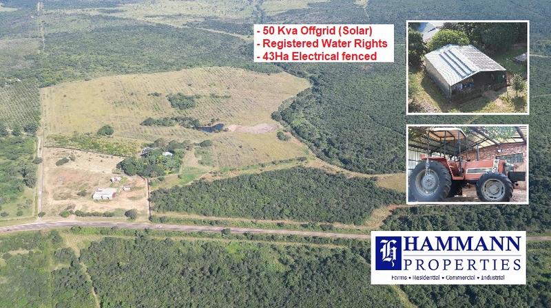 0 Bedroom Property for Sale in Louis Trichardt Limpopo