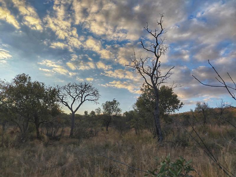 0 Bedroom Property for Sale in Highlands Wilderness Estate Limpopo