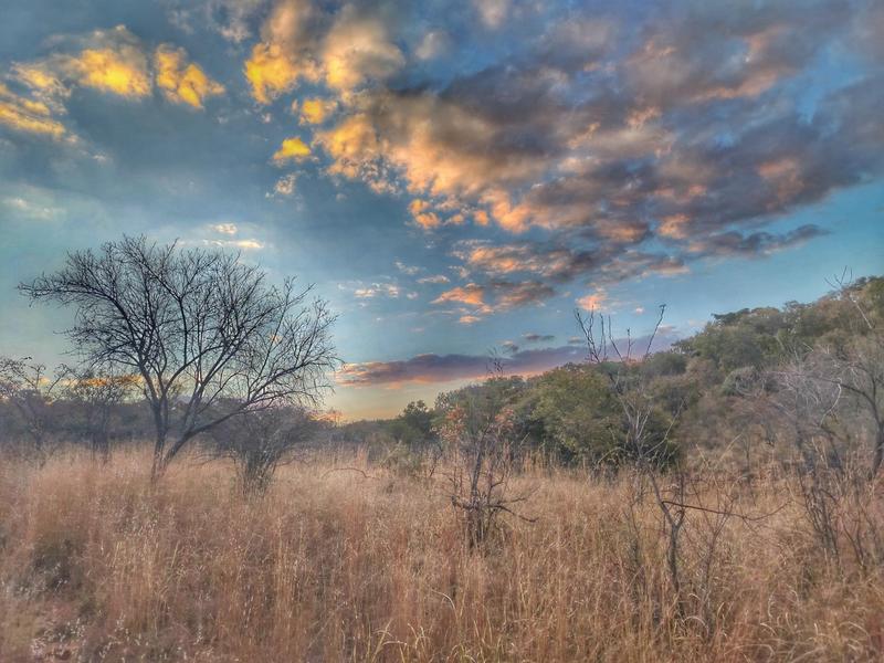0 Bedroom Property for Sale in Highlands Wilderness Estate Limpopo