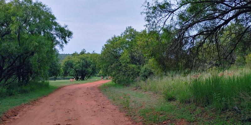 0 Bedroom Property for Sale in Highlands Wilderness Estate Limpopo