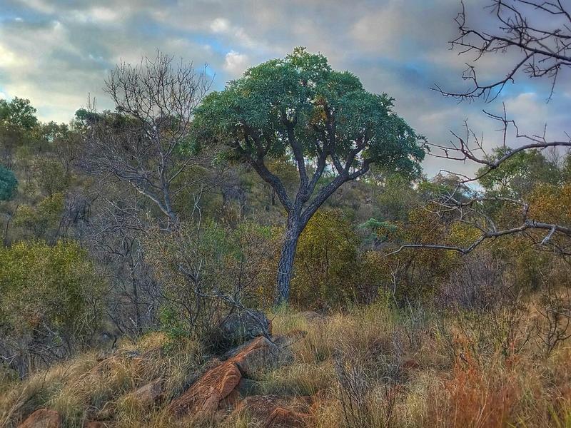 0 Bedroom Property for Sale in Highlands Wilderness Estate Limpopo
