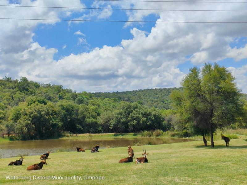 0 Bedroom Property for Sale in Highlands Wilderness Estate Limpopo
