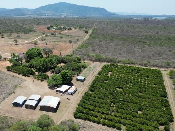 0 Bedroom Property for Sale in Louis Trichardt Limpopo