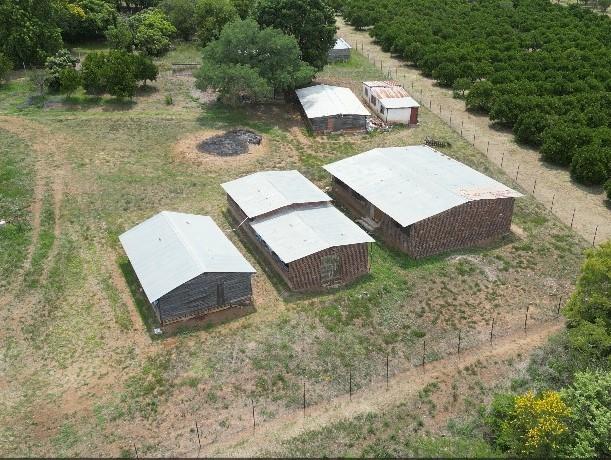 0 Bedroom Property for Sale in Louis Trichardt Limpopo