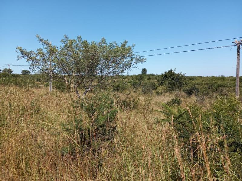 Commercial Property for Sale in Shayandima Limpopo