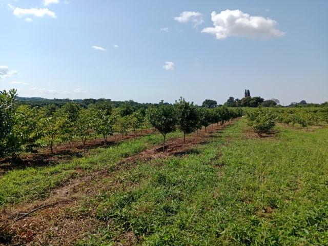 0 Bedroom Property for Sale in Levubu Limpopo