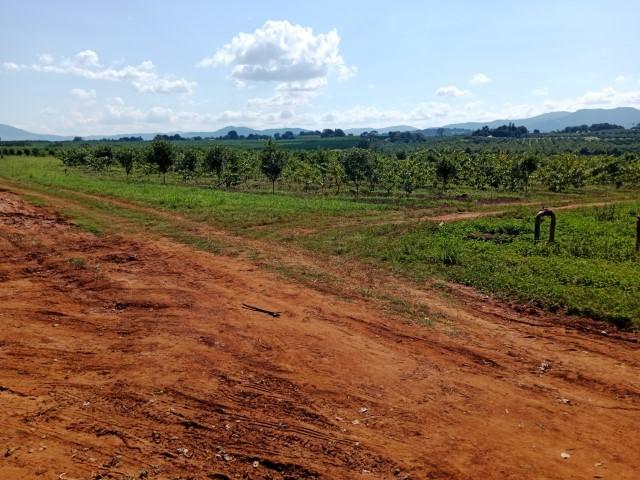 0 Bedroom Property for Sale in Levubu Limpopo
