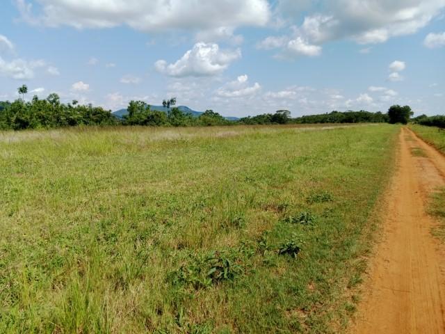 0 Bedroom Property for Sale in Levubu Limpopo