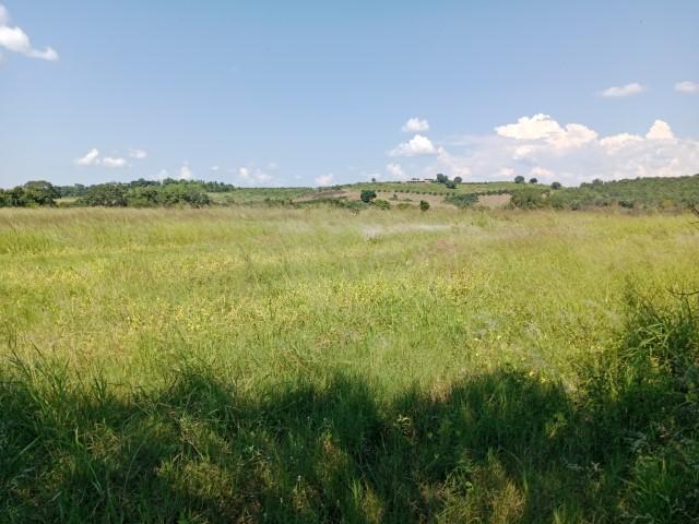 0 Bedroom Property for Sale in Levubu Limpopo