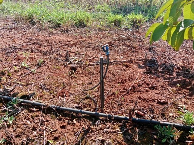 0 Bedroom Property for Sale in Levubu Limpopo