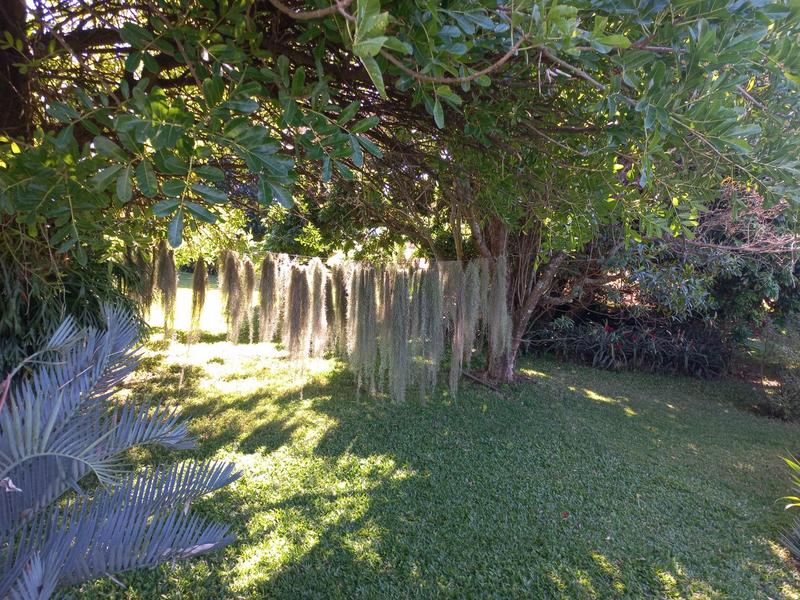 5 Bedroom Property for Sale in Tzaneen Rural Limpopo