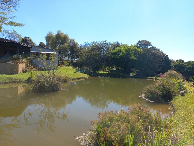 5 Bedroom Property for Sale in Tzaneen Rural Limpopo