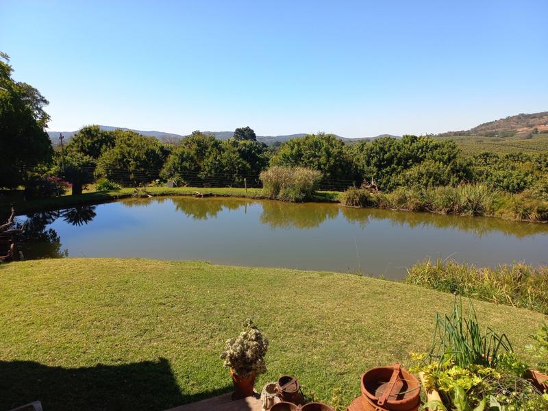 5 Bedroom Property for Sale in Tzaneen Rural Limpopo