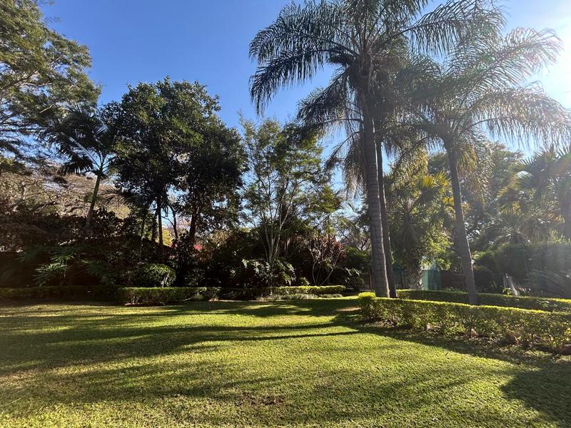4 Bedroom Property for Sale in Mookgopong Limpopo