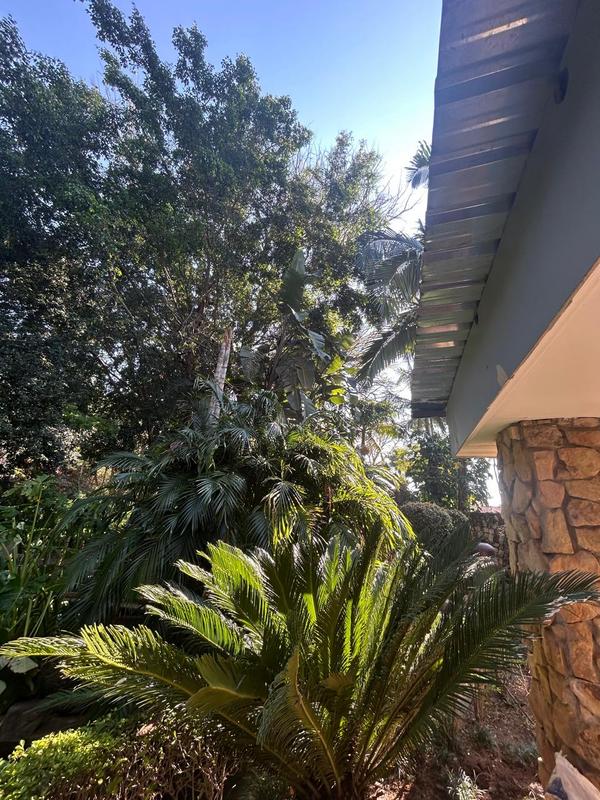 4 Bedroom Property for Sale in Mookgopong Limpopo