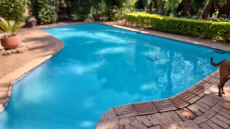 4 Bedroom Property for Sale in Mookgopong Limpopo
