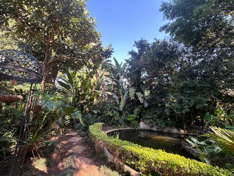 4 Bedroom Property for Sale in Mookgopong Limpopo