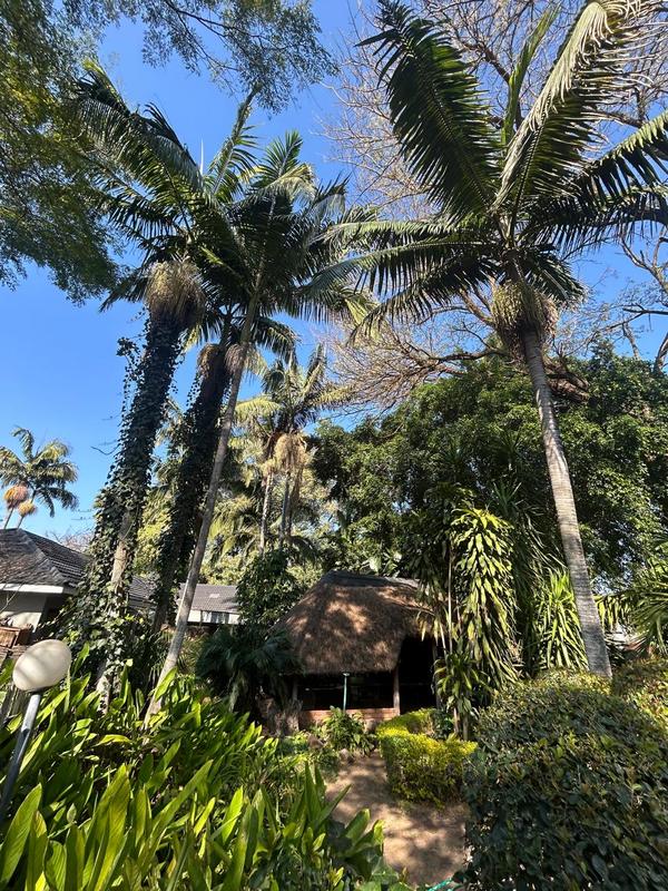 4 Bedroom Property for Sale in Mookgopong Limpopo