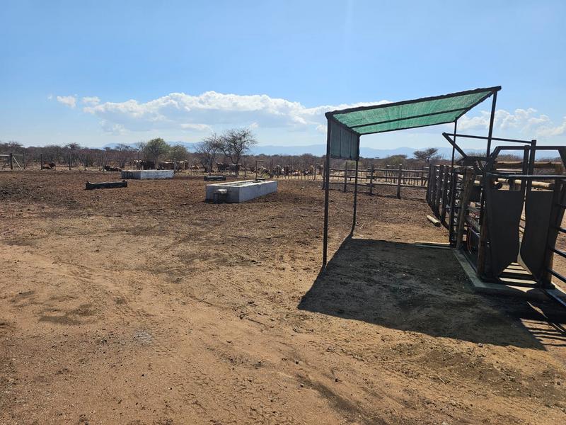 0 Bedroom Property for Sale in Louis Trichardt Limpopo