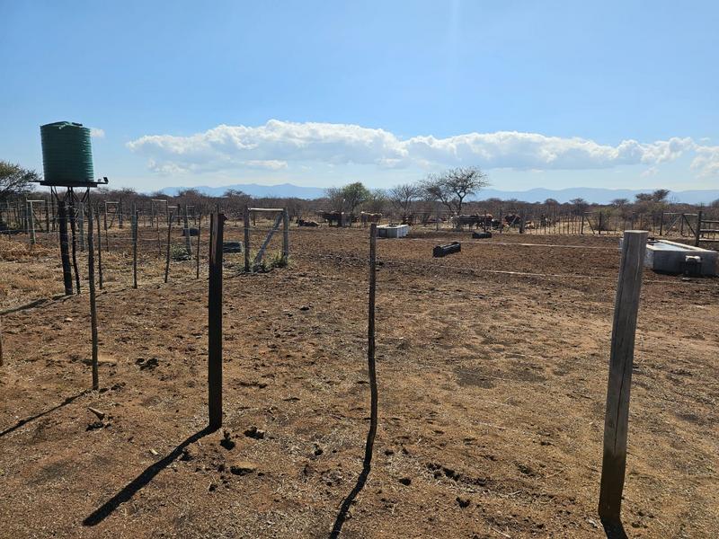 0 Bedroom Property for Sale in Louis Trichardt Limpopo