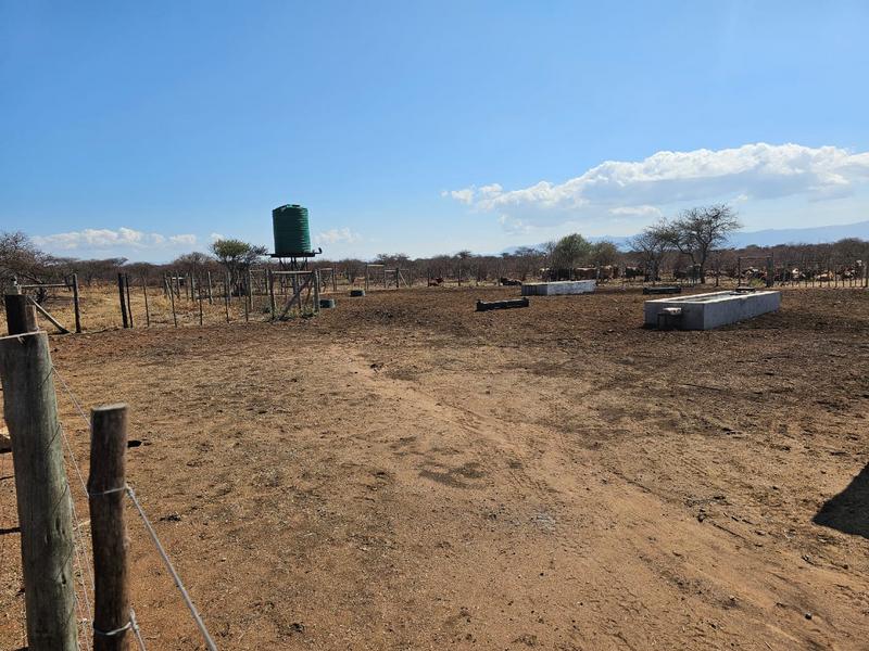 0 Bedroom Property for Sale in Louis Trichardt Limpopo