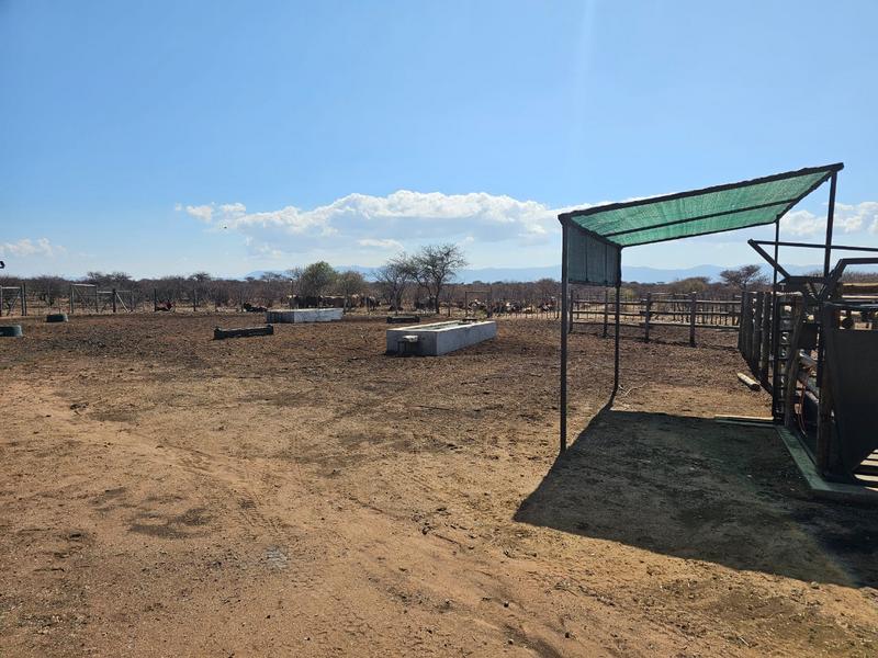 0 Bedroom Property for Sale in Louis Trichardt Limpopo