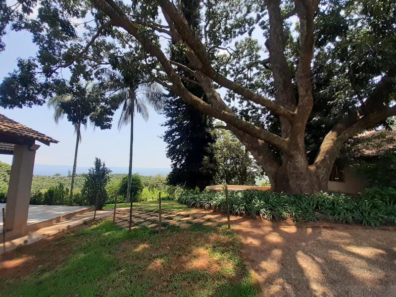 0 Bedroom Property for Sale in Agatha Park Limpopo