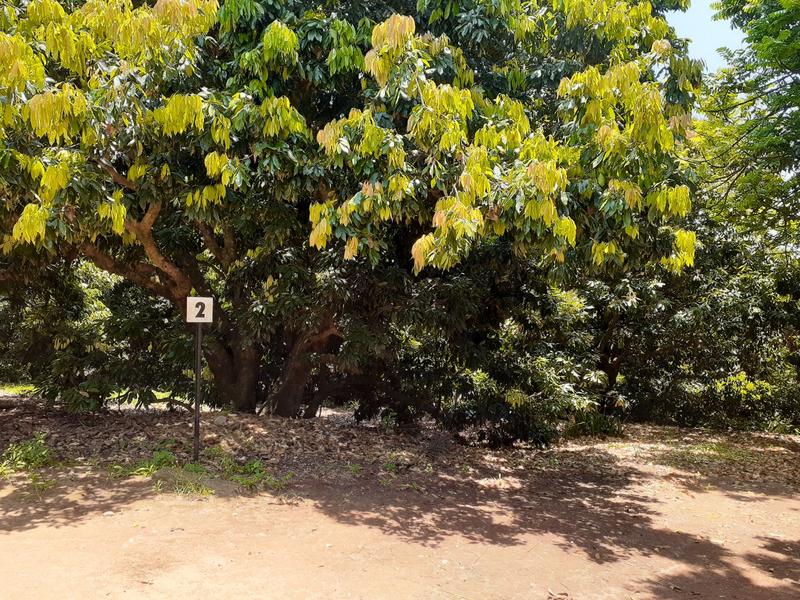 0 Bedroom Property for Sale in Agatha Park Limpopo