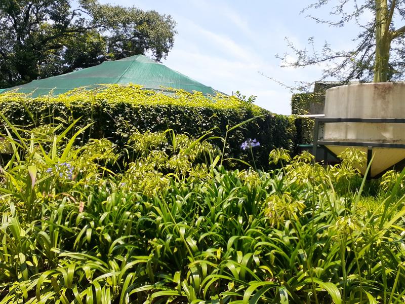 0 Bedroom Property for Sale in Agatha Park Limpopo