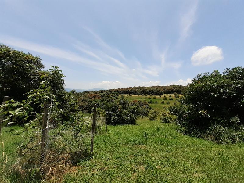 0 Bedroom Property for Sale in Agatha Park Limpopo
