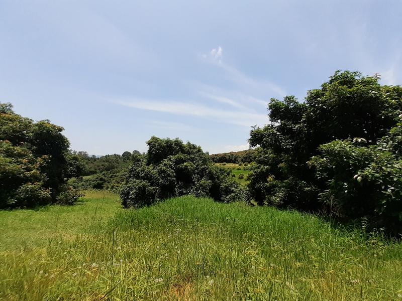 0 Bedroom Property for Sale in Agatha Park Limpopo