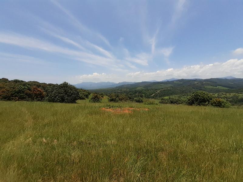 0 Bedroom Property for Sale in Agatha Park Limpopo