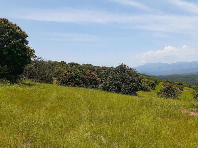 0 Bedroom Property for Sale in Agatha Park Limpopo