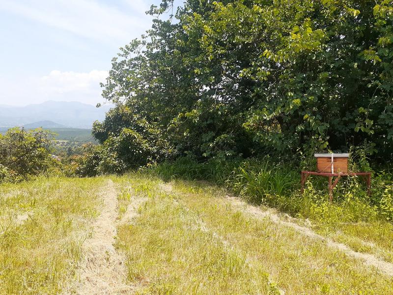 0 Bedroom Property for Sale in Agatha Park Limpopo