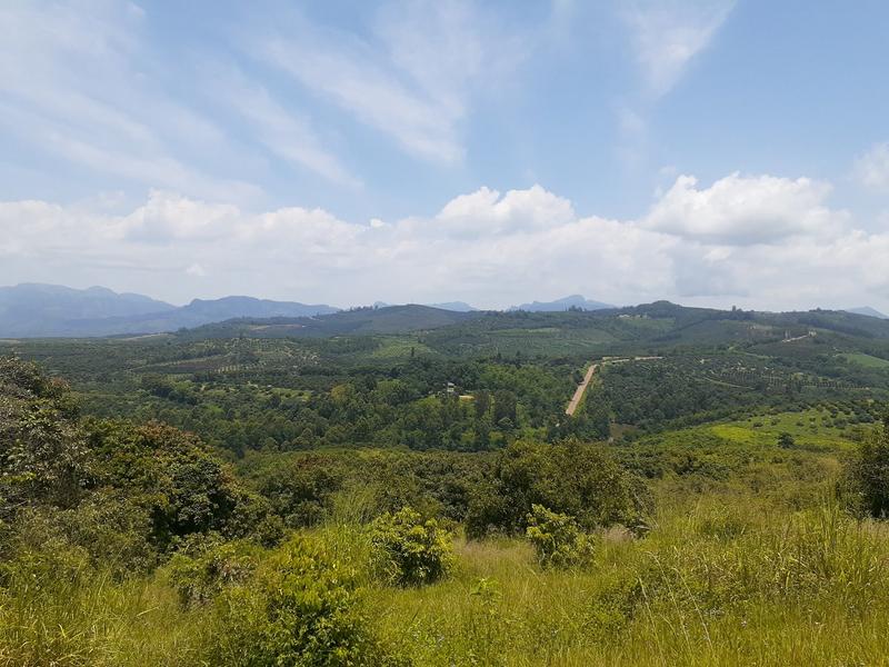 0 Bedroom Property for Sale in Agatha Park Limpopo