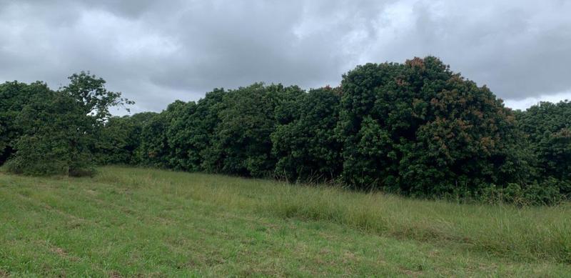 0 Bedroom Property for Sale in Agatha Park Limpopo