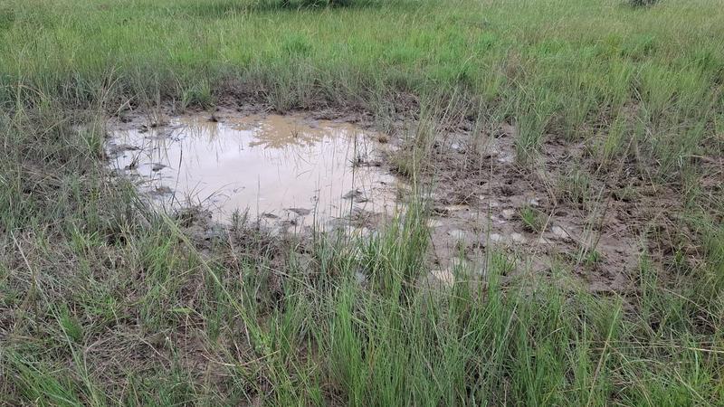 0 Bedroom Property for Sale in Elim Limpopo