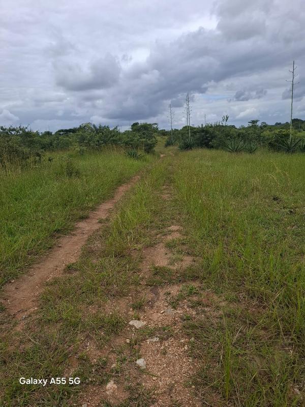 0 Bedroom Property for Sale in Elim Limpopo