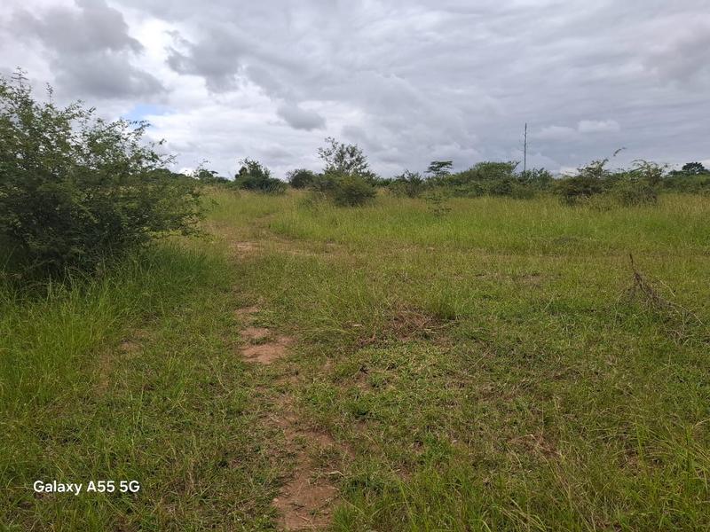 0 Bedroom Property for Sale in Elim Limpopo