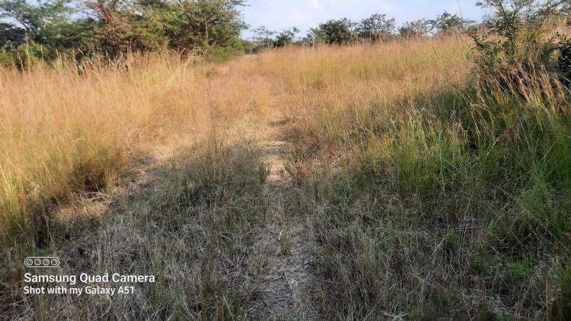 0 Bedroom Property for Sale in Elim Limpopo
