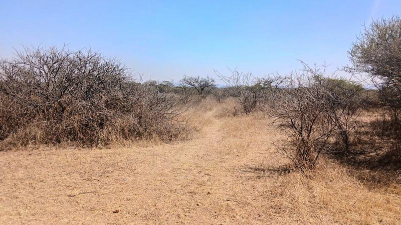 0 Bedroom Property for Sale in Tweefontein Limpopo