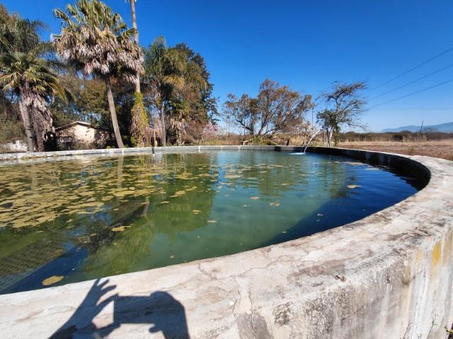 0 Bedroom Property for Sale in Louis Trichardt Limpopo