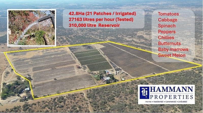 0 Bedroom Property for Sale in Louis Trichardt Limpopo
