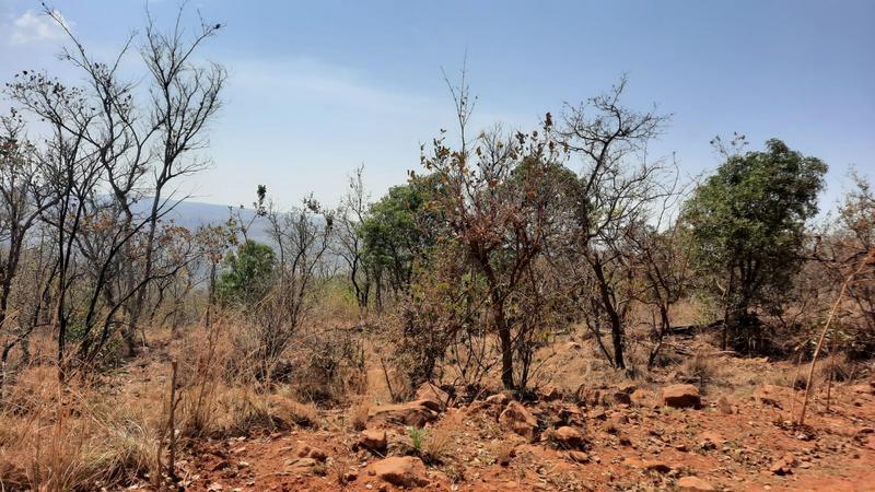 4 Bedroom Property for Sale in Bela Bela Limpopo