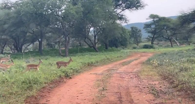6 Bedroom Property for Sale in Thabazimbi Limpopo