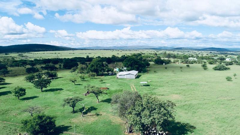 5 Bedroom Property for Sale in Bela Bela Limpopo
