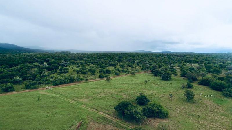 5 Bedroom Property for Sale in Bela Bela Limpopo