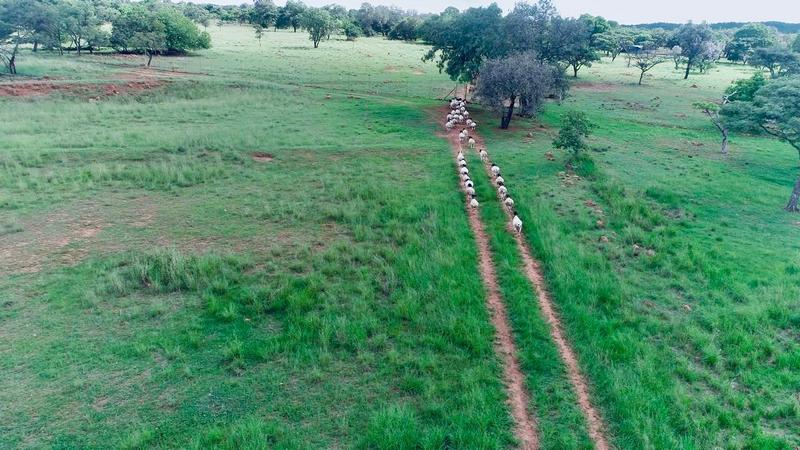 5 Bedroom Property for Sale in Bela Bela Limpopo